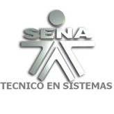 Técnico en Sistemas SENA